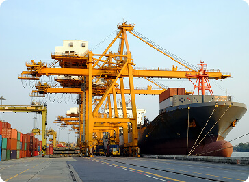 Demo Hizmet Başlığı - 1